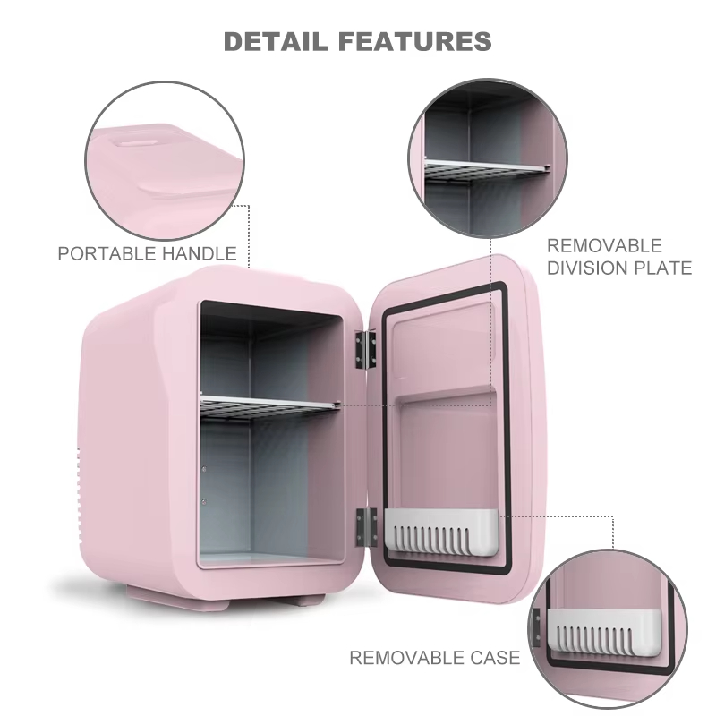 Good Price Portable Car Mini F - Beauty Makeup Fridge avis et prix