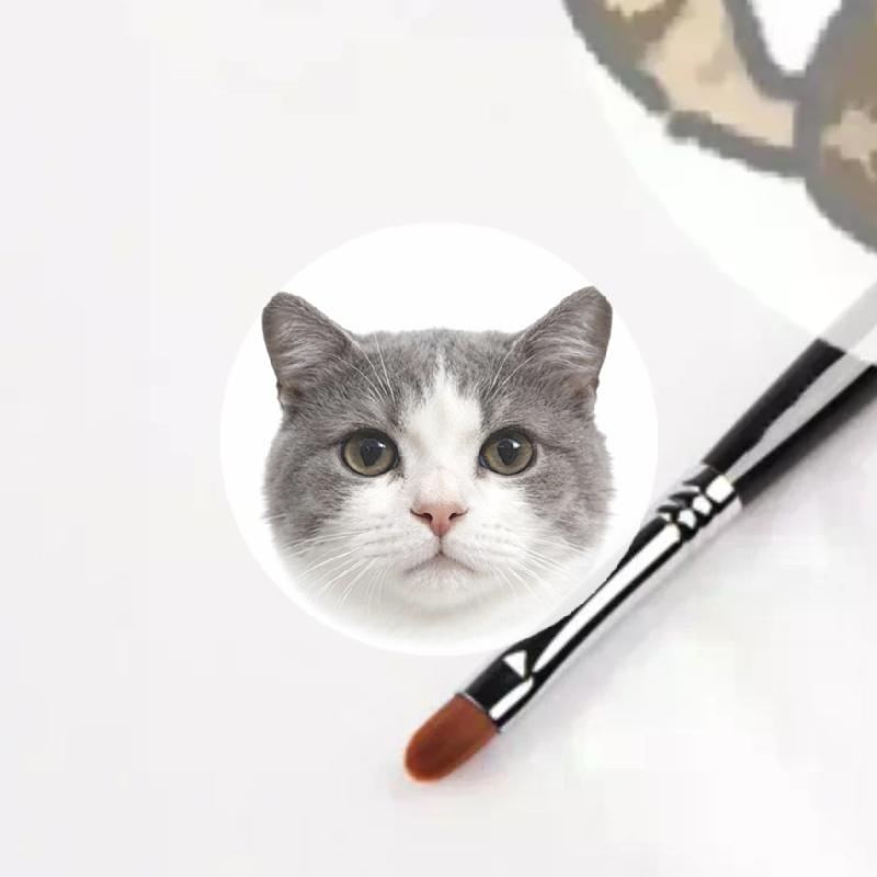 Eyeshadow Lip Gloss Makeup Bru - Beauty Makeup Eyeshadow avis et prix