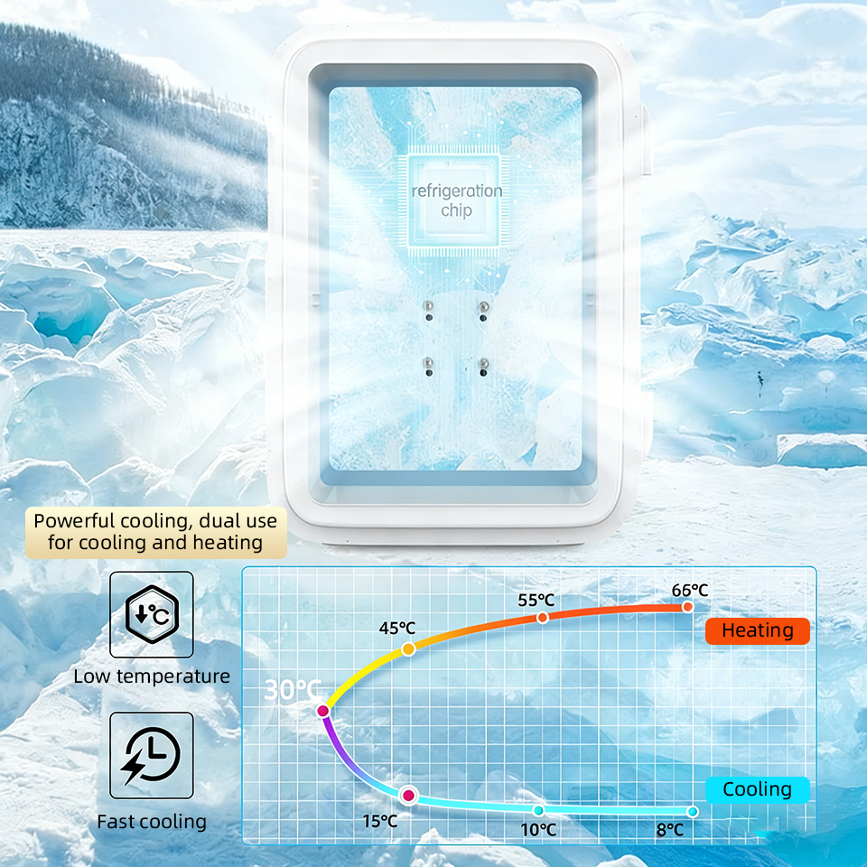Mini Fridge with Transparent D - Beauty Makeup Fridge avis et prix