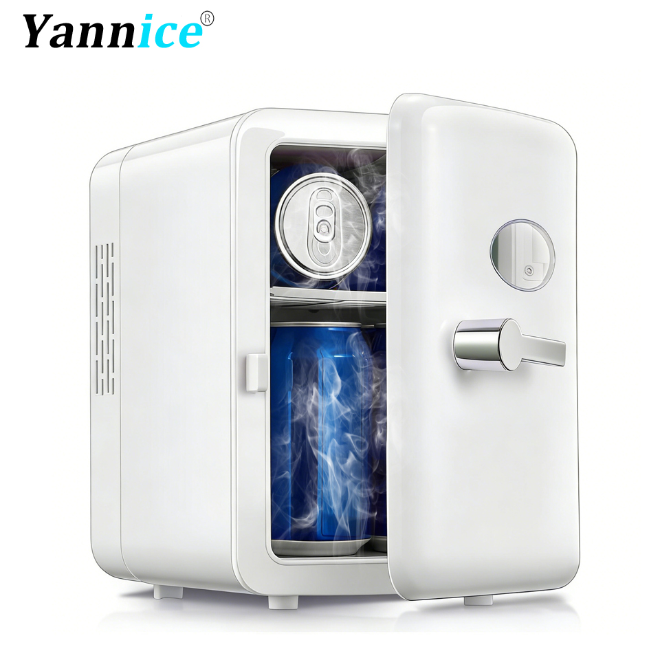 Portable 4L Mini Beauty Fridge - Beauty Makeup Fridge avis et prix