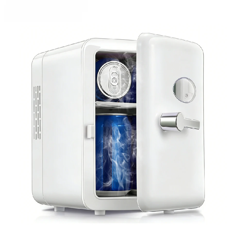 Portable 4L Mini Beauty Fridge - Beauty Makeup Fridge avis et prix