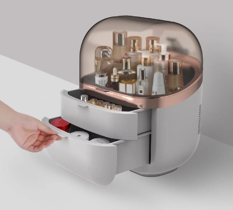22L Portable Skincare Fridge - - Beauty Makeup Fridge avis et prix