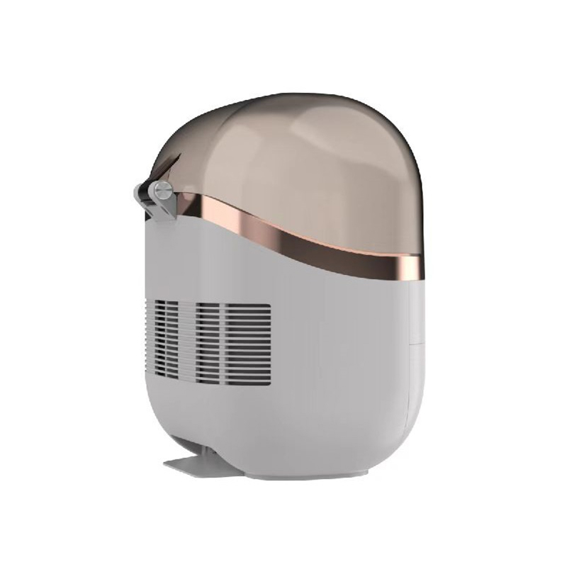 22L Portable Skincare Fridge - - Beauty Makeup Fridge avis et prix